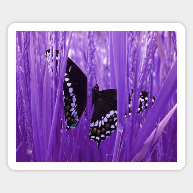 Purple Grass Swallowtail Butterfly Sticker by ARTWORKandBEYOND